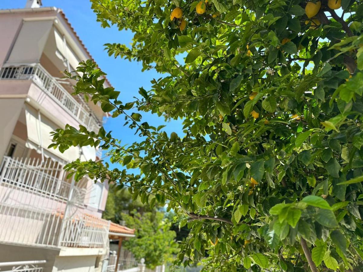 La Vita Apartments-Near Airport & Sea Artemida  Exterior foto